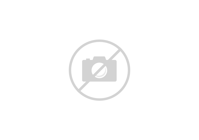 Carrying case for FLUOBEAM® LX